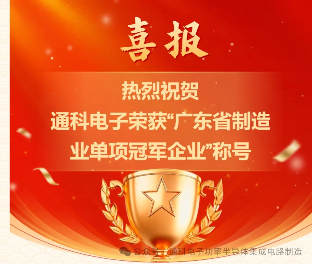 Good News | Tongke Electronics Honored As A “Guangdong Provincial Manufacturing Single Champion E...